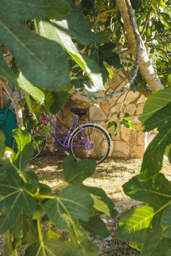 Apartmani Alic Šibenik Buitenkant foto